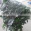 100% raw material uv protection agricultural greenhouse film for sale