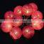 Christmas Holiday Name led cotton ball light