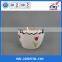 Decorative Indoor Ceramic Flower Pot