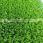 Cheap Multi-functional SPORTS Artificial Grass Quality Plastic Turf Lawn 30mm 551316