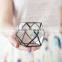 Gardening gift Cuboctahedron Cactus planter Geometric glass terrarium