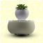 Magnetic levitating air bonsai
