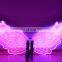 magic Dance props plastic led wing/ led butterfly