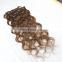 Youth Beauty Hair top quality brazilian virgin human clip in hair extension in body wave full cuticle can be dyed 9A grade