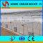 Commercial Multi Span Plastic Film Tunnel Greenhouse