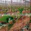 Agriculture plastic climbing plant support trellis  net