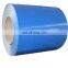 ppgi blue sheet
