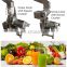 Stainless Steel 500 kg Coconut Milk Screw Press/Juice Extract Machine/Screw Press Juicer