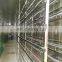 Hydroponic Wheat Barley Fodder System Sprout Making Machine For Cattle, Horse