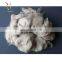 Dehaired Goat Raw Cashmere Wool Fiber