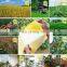 Doubled Side Sticky Fly Insect Traps Kill Fruit Flies+ Killer Summer for Fungus Good Quality Factory Directly Yellow 2 Years