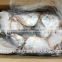 Frozen wholesale moon fish with size 150 - 200 g