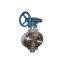 Manufacturer wholesale wafer butterfly valve manual stainless steel hard seal butterfly valve