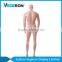 fiberglass stand realistic male mannequin