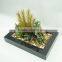 2014 new design artificial cactus plants /wholesale bonsai trees
