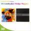 Professional production quality Assurance 3d fridge magnet
