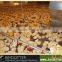 China automatic poultry equipment suppliers of poultry farming system