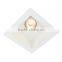 IP44 Aluminum Citizen COB LED Recessed Square Downlight