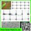 100% original HDPE raw material with UV additives Crop protection anti bird net rede para pegar passaros