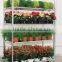 garden flower hand trolley rack