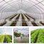 Single-span agricultural greenhouses type and large size greenhouse rack and pinion