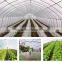 China manufacturer supply tunnel plastic greenhouse tent for vegetable