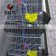 BAIYI H & A Type Layer Metal Quail Cage With Automatic Driking System For Sale