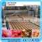 Wholesale jelly candy machines in Shanghai