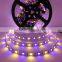 RGBW 5050 LED Strip,12V 60LED/M,RGB+White,RGB+Warm White,The Beautiful Color You Never Seen Before