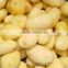 Factory Reduced Price automatic electric potato peeler