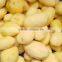 China Supplier Eectric Potato Peeler Machine