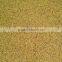 high quality alfalfa seeds with competitive price