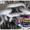 2016 NEW Grade U1 12.5mm-70mm self-color studless link anchor chain