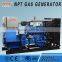 100kw Natural gas engine generator set