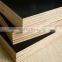 GOOD QUALITY FILM FACE PLYWOOD