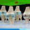 Direct factory supplied human knee joint model