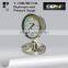 Y-100BFZ/MF/316 diaphragm seal pressure gauge