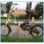New Design Hot Sale Folding Bike / Ladies Bicycles/ Bikes for Sale/fashion Lady Bike