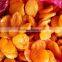 Market price best selling fresh Dehydrated Apricot