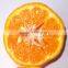 Mandarin Orange Fruit