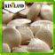 Top sales raw pumpkin seeds (light yellow color) with best price from Kingland