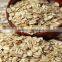 Factury supply high quality malt extract
