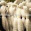 agricultrual bird netting and bird mist net