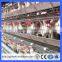 Guangzhou poultry farming equipment chicken cage/battery cages laying hens(Guangzhou Factory)