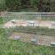 rabbit farming cage/rabbit breeding cages/commercial rabbit cages