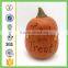 Factory Custom made best home decoration gift polyresin resin white craft pumpkins