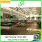Low cost whole sale commercial greenhouses