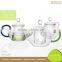 Professional Design Lead-Free Ti-Borosilicate Glass Insulated Tea Pot