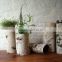 birch bark cylindrical garden flower pot for home decoration