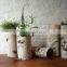 birch bark cylindrical garden flower pot for home decoration